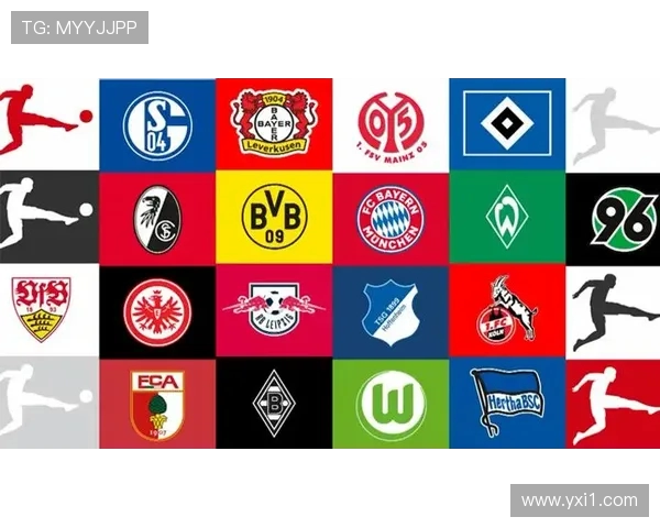 德甲球迷赞助的球队情况及影响力评估