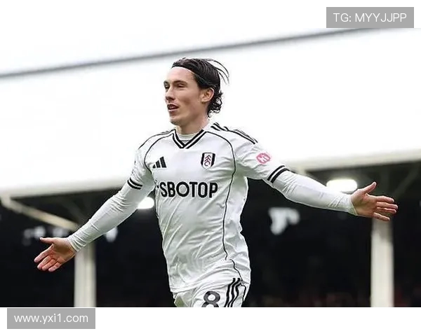 英超球员威尔逊的职业生涯及亮点介绍