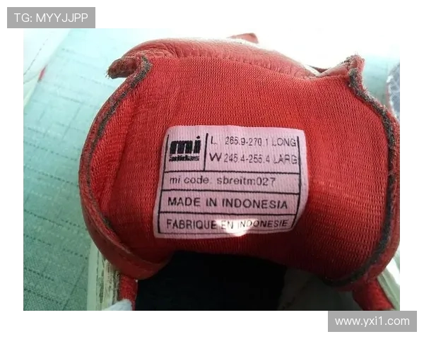 阿迪达斯旗下支持的德甲足球俱乐部名单与合作情况